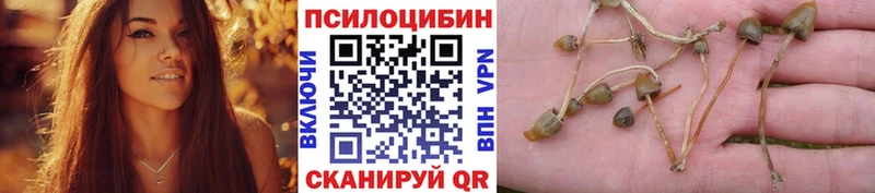 Псилоцибиновые грибы Magic Shrooms  Воскресенск 